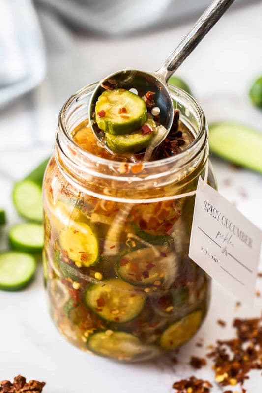 41(a). Spicy Pickles